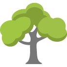 Green Valley Tree Removal